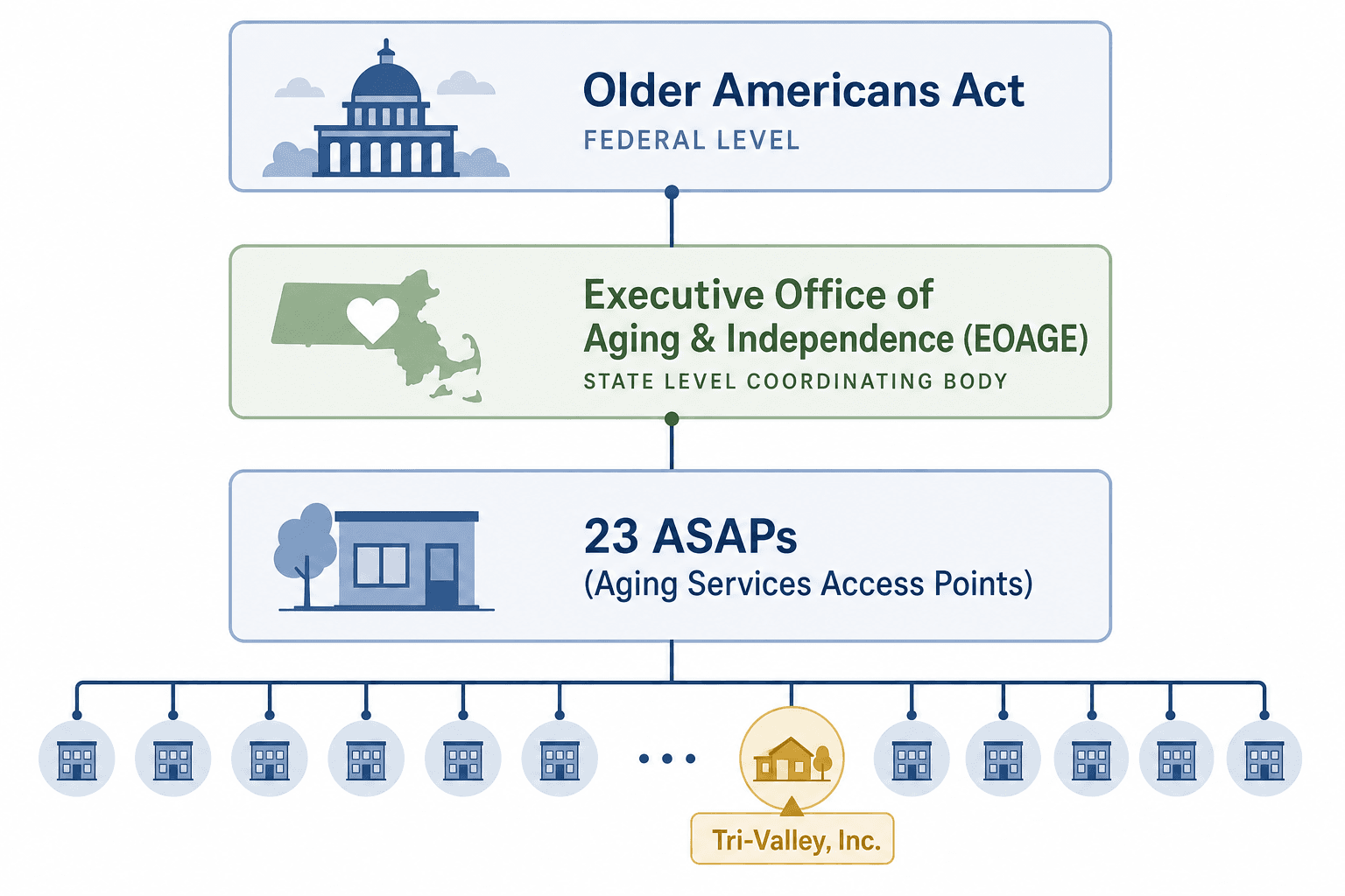 A clean organizational hierarchy diagram showing the flow from federal Older Americans Act to Massachusetts Executive Office of Aging & Independence down to 23 ASAPs including Tri-Valley, Inc., in a muted blue, green, and golden editorial illustration style.