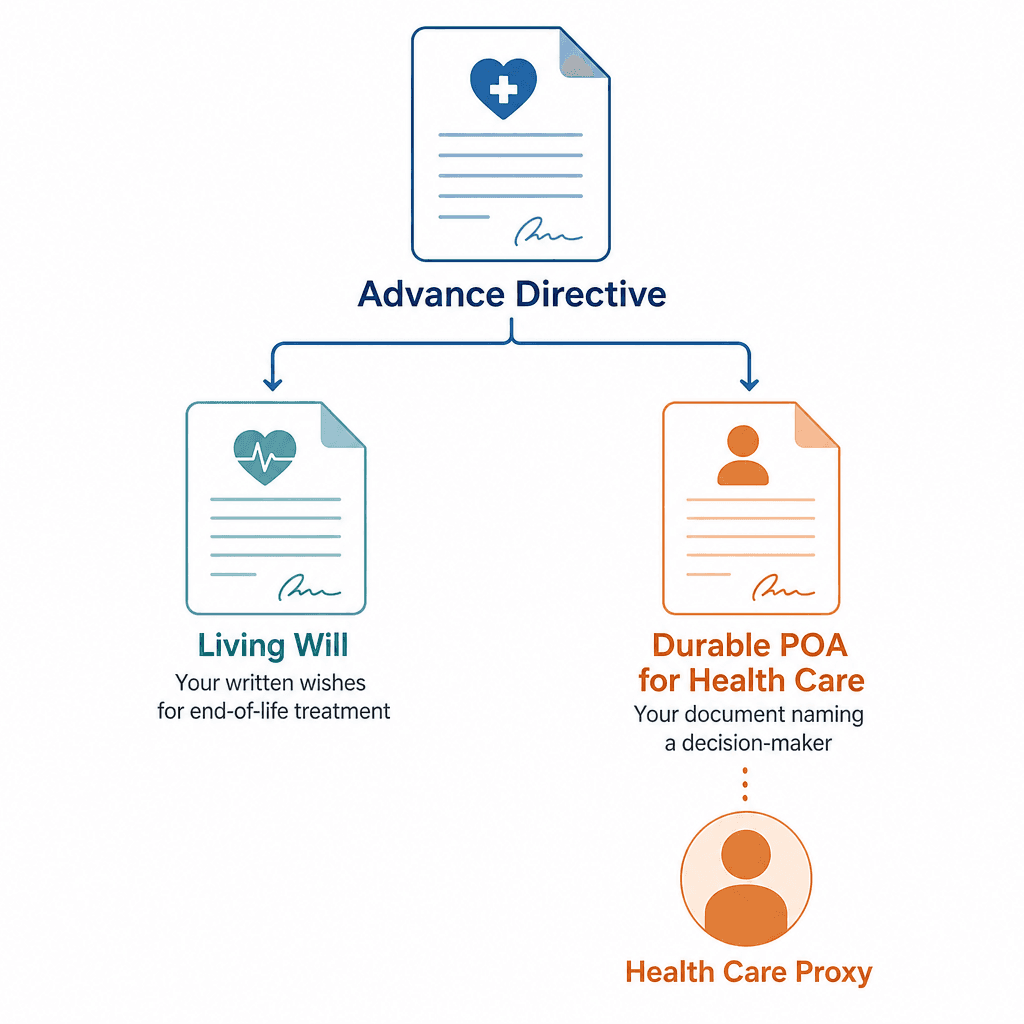 A flat vector hierarchical diagram showing Advance Directive as an umbrella term with two branches: Living Will and Durable POA for Health Care, which connects to a Health Care Proxy silhouette.