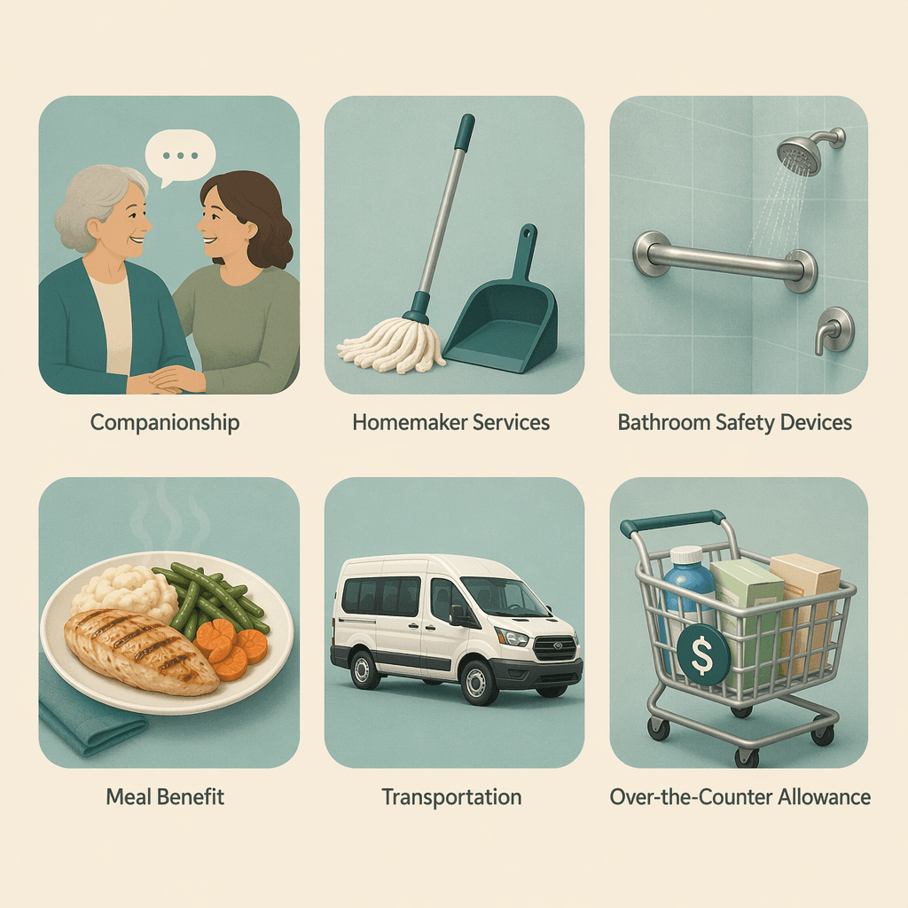 Six rounded icons in a two-row grid showing Medicare Advantage in-home support benefit types: companionship, homemaker services, bathroom safety devices, meal benefits, transportation, and over-the-counter allowance.