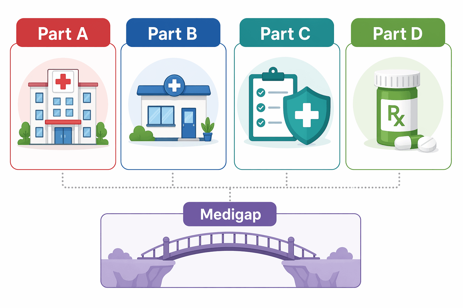 A horizontal editorial infographic comparing Medicare Parts A, B, C, D and Medigap. Part A (red, hospital icon), Part B (blue, doctor icon), Part C (teal, combined plan icon), Part D (green, prescription bottle icon), and Medigap shown below as a gap-filling supplement. Clean white background with minimal labels.