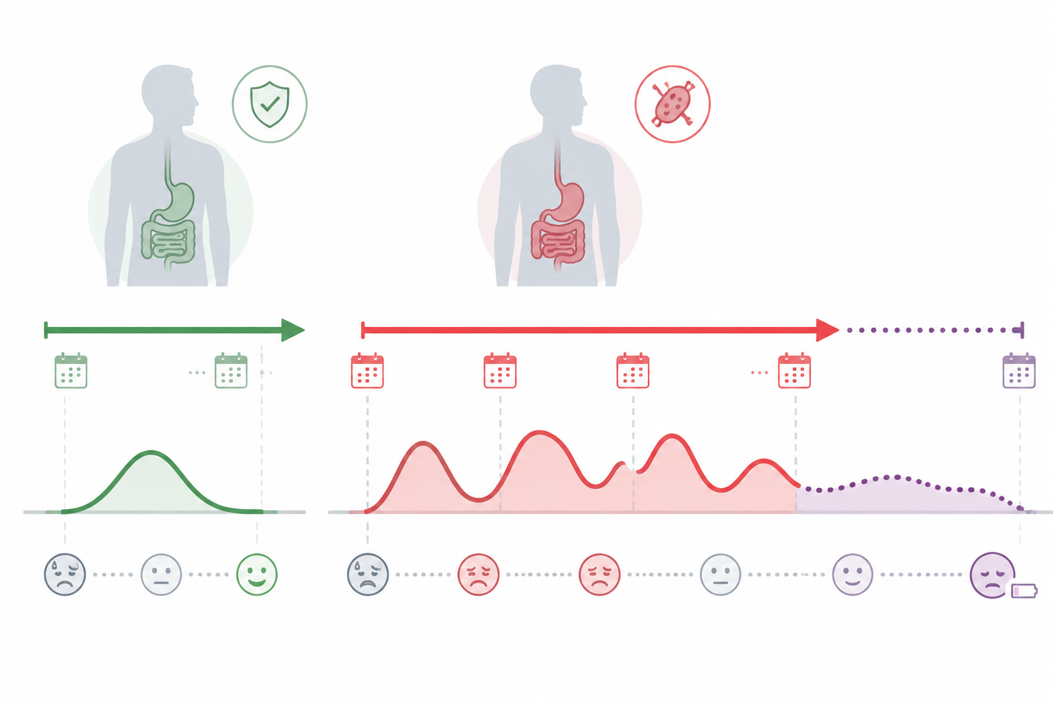 Illustration comparing a short stomach bug timeline with a longer cyclospora timeline that rises and falls