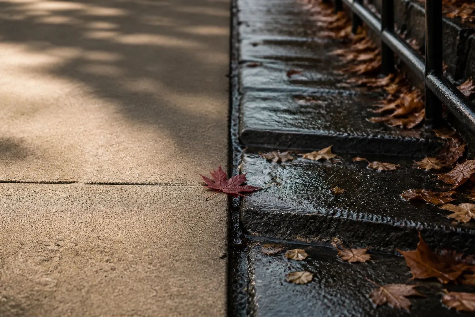 Dry flat pavement contrasted with wet steep steps and a handrail