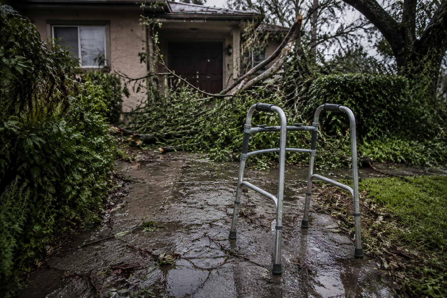 Walker on a wet, debris-covered front walkway after a storm with fallen branches, leaves, and standing water