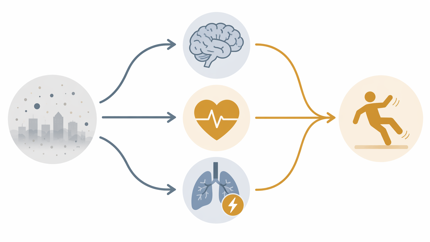 Diagram showing polluted air leading through cognitive, cardiovascular, and respiratory pathways toward fall risk