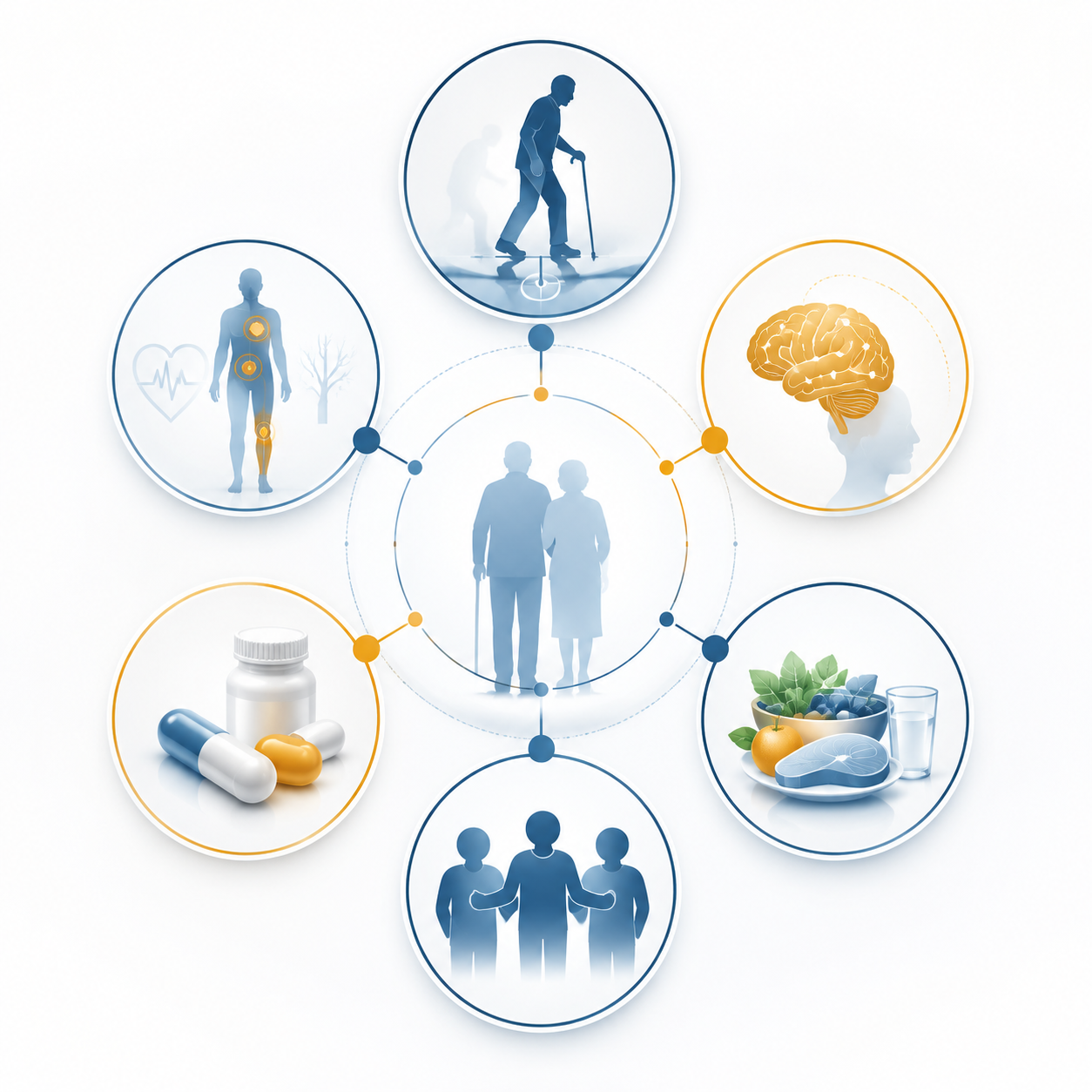 Framework showing geriatric assessment domains including function, cognition, nutrition, social support, medications, and comorbidities