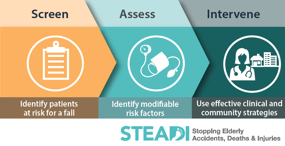 CDC STEADI diagram showing Screen, Assess, and Intervene in a connected fall prevention flow
