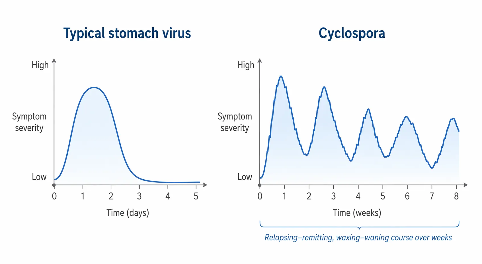 Line graph comparing a short stomach virus curve with a longer jagged Cyclospora symptom pattern over weeks