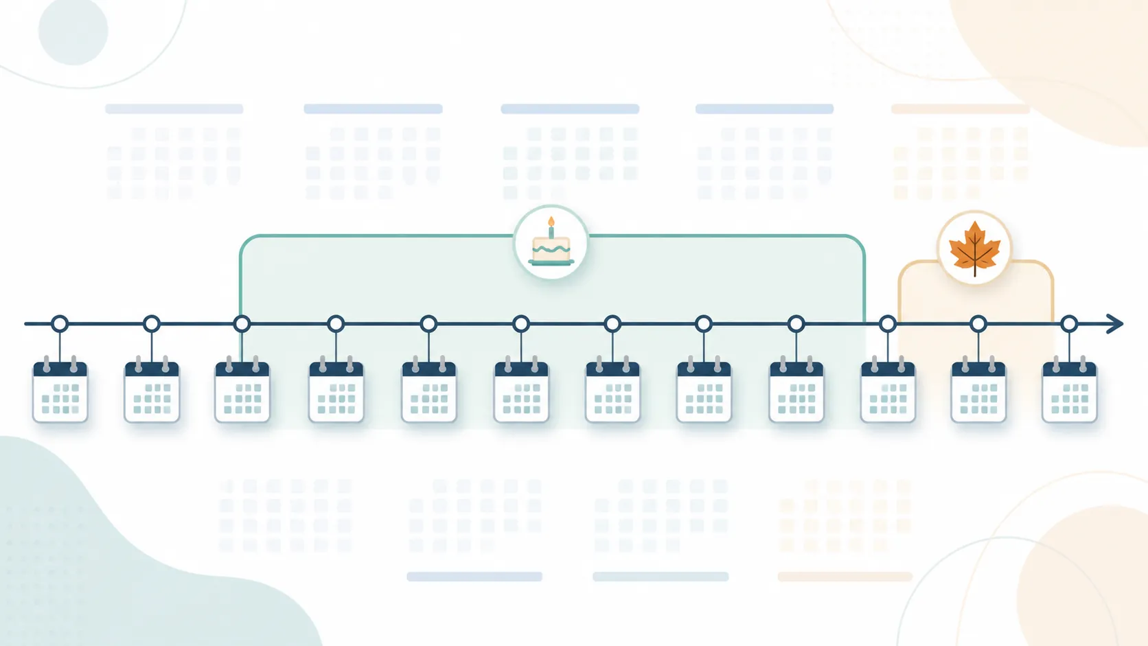 One-year Medicare timeline with a seven-month birthday enrollment window and fall review period
