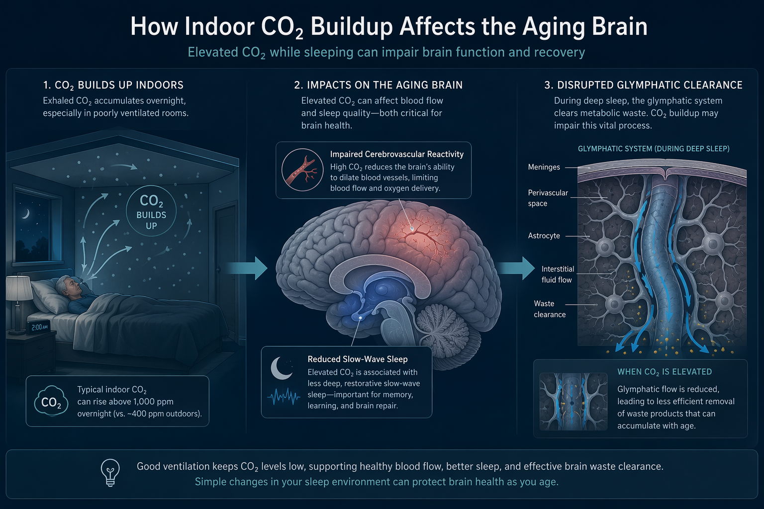 Diagram showing indoor CO2 accumulation, brain cerebrovascular response, sleep stages, and glymphatic clearance