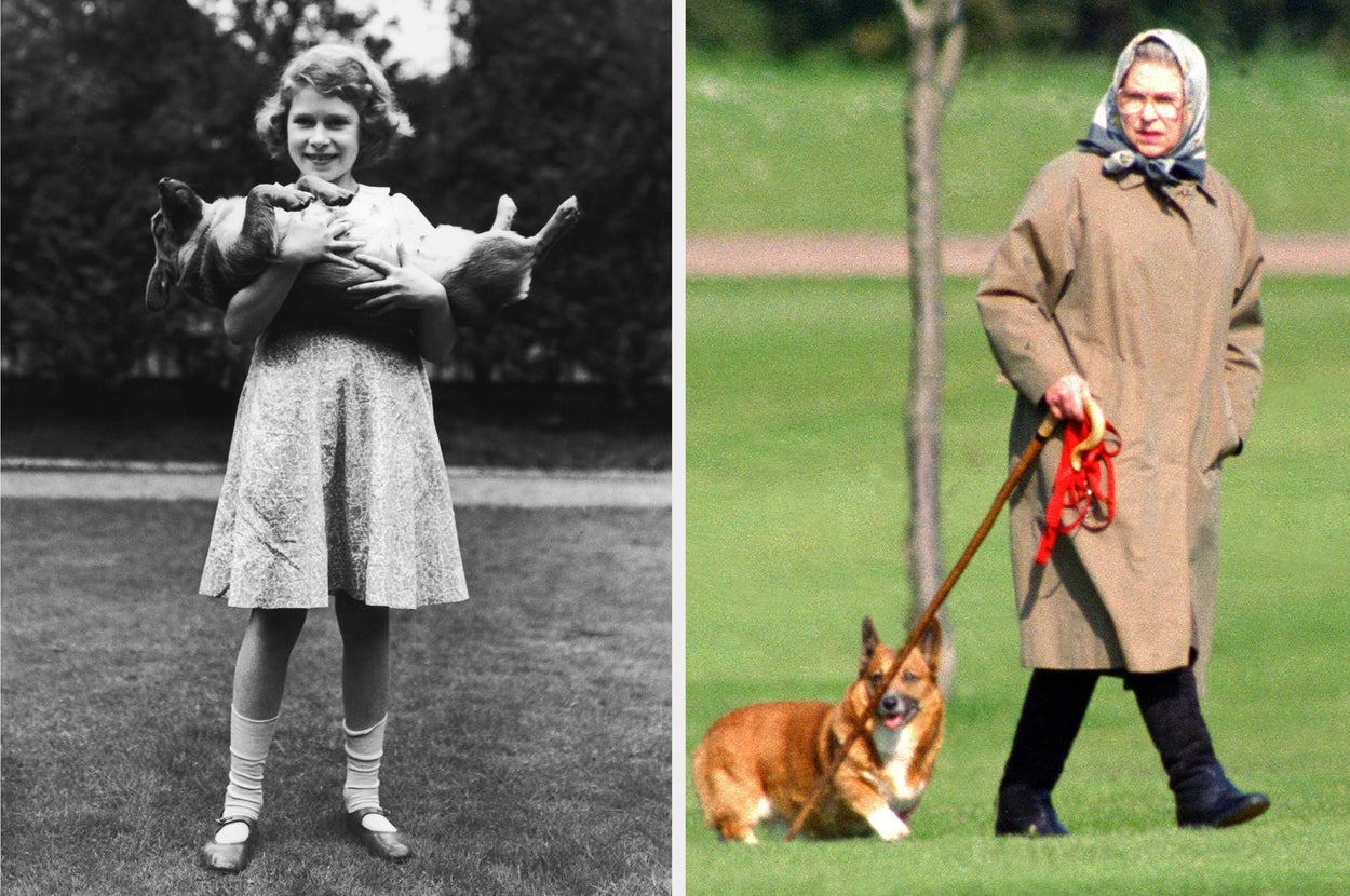 Queen Elizabeth II walks outdoors with two corgis on grassy grounds