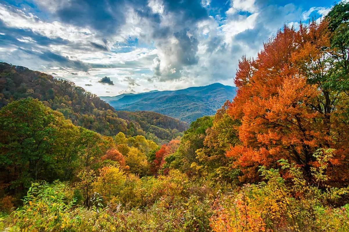 Autumn foliage in orange, gold, and red across the Blue Ridge Mountains from Standing Rock Overlook in North Carolina