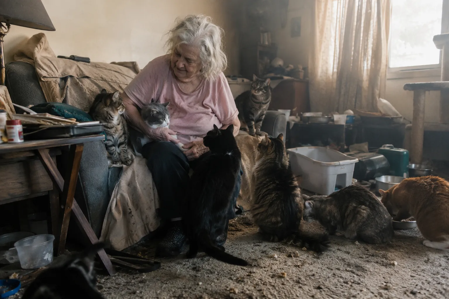 Elderly woman sitting among several cats in a cluttered living room