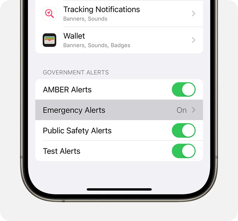 iPhone Settings screen showing the Government Alerts section with alert toggles