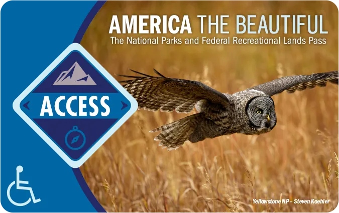 Official Interagency Access Pass card with scenic park image