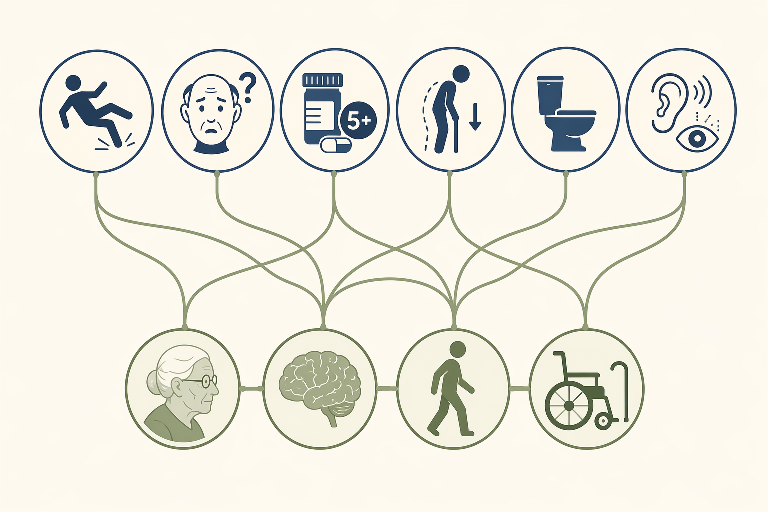 Infographic showing shared risk factors branching into geriatric syndromes