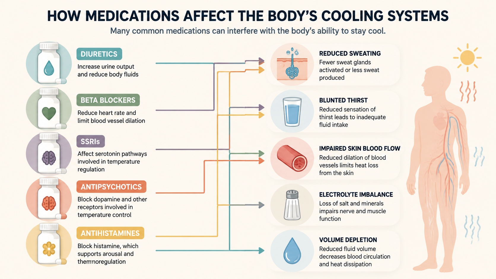 Diagram connecting medication classes to sweating, thirst, blood flow, salt balance, and hydration pathways