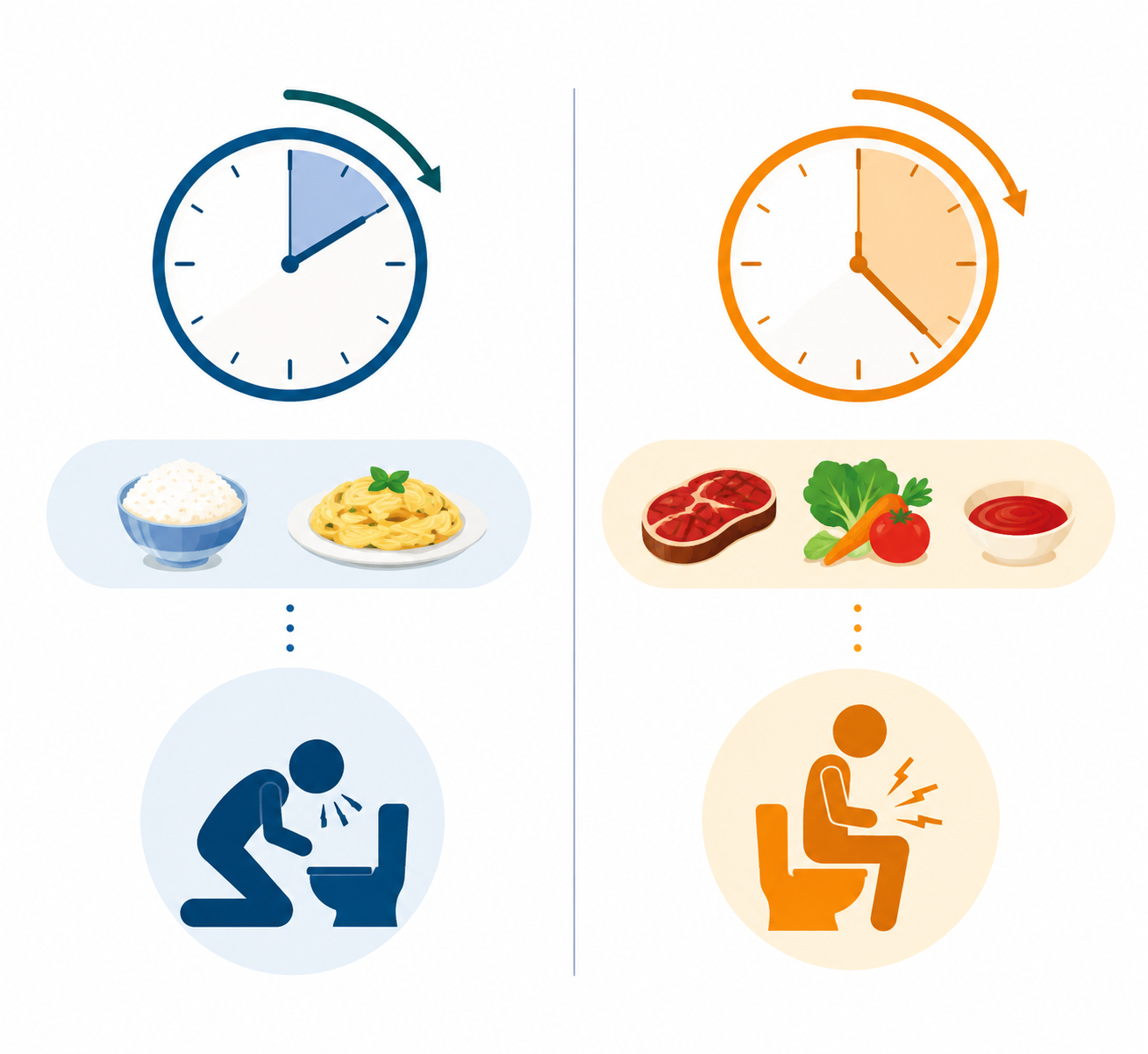 Split illustration comparing Bacillus cereus vomiting and diarrhea illness patterns with clocks and food icons